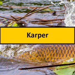 Geen afbeelding ingesteld 